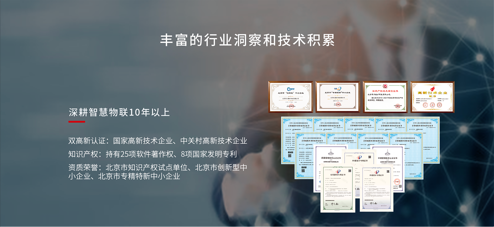 特级丰满少妇一级AAAA爱毛片