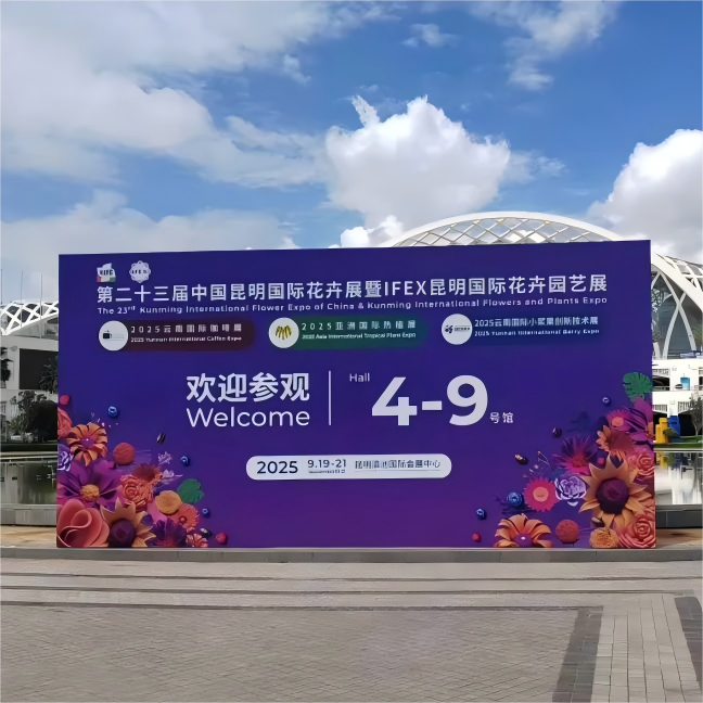 特级丰满少妇一级AAAA爱毛片