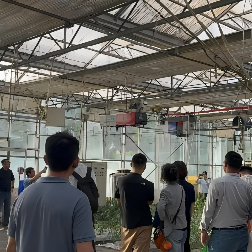 特级丰满少妇一级AAAA爱毛片