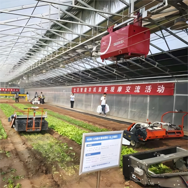 特级丰满少妇一级AAAA爱毛片